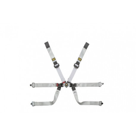 ARNES EN DYNEEMA® PARA FORMULA - 6 PUNTOS - ERGAL AJUSTE - NEGRO/BLANCO