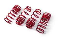 Kit de muelles deportivos -25/25mm – VW Golf Mk8 2.0 TSI R 4motion (MTS Technik)