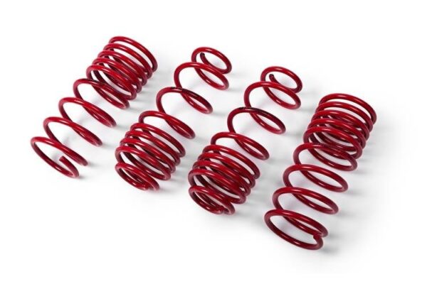Kit de muelles -30/30mm – VW Golf 1.5 eTSI MK8 (MTS Technik)