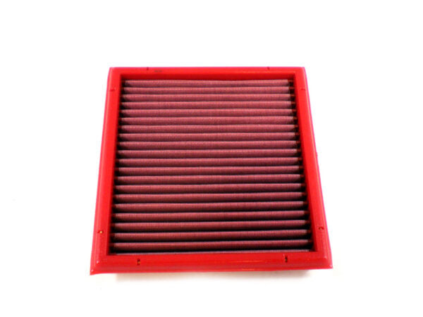 Filtro de sustitución FB555/01 (BMC)