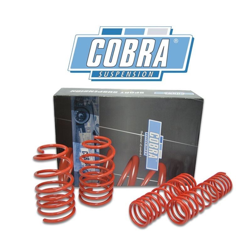 MUELLES DEPORTIVOS COBRA 76.9920